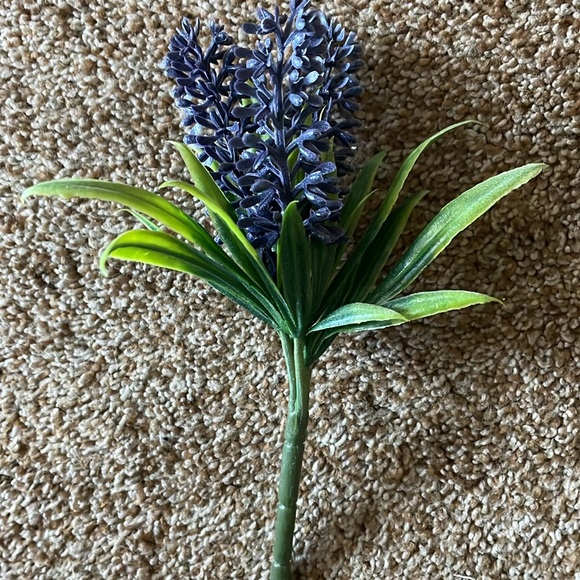 3 Spring Florsl Picks - Picture 3 of 3